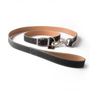 Hue Leather Dog Collar & Lead Set